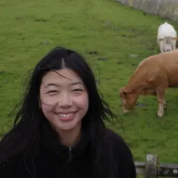 Michelle Sun